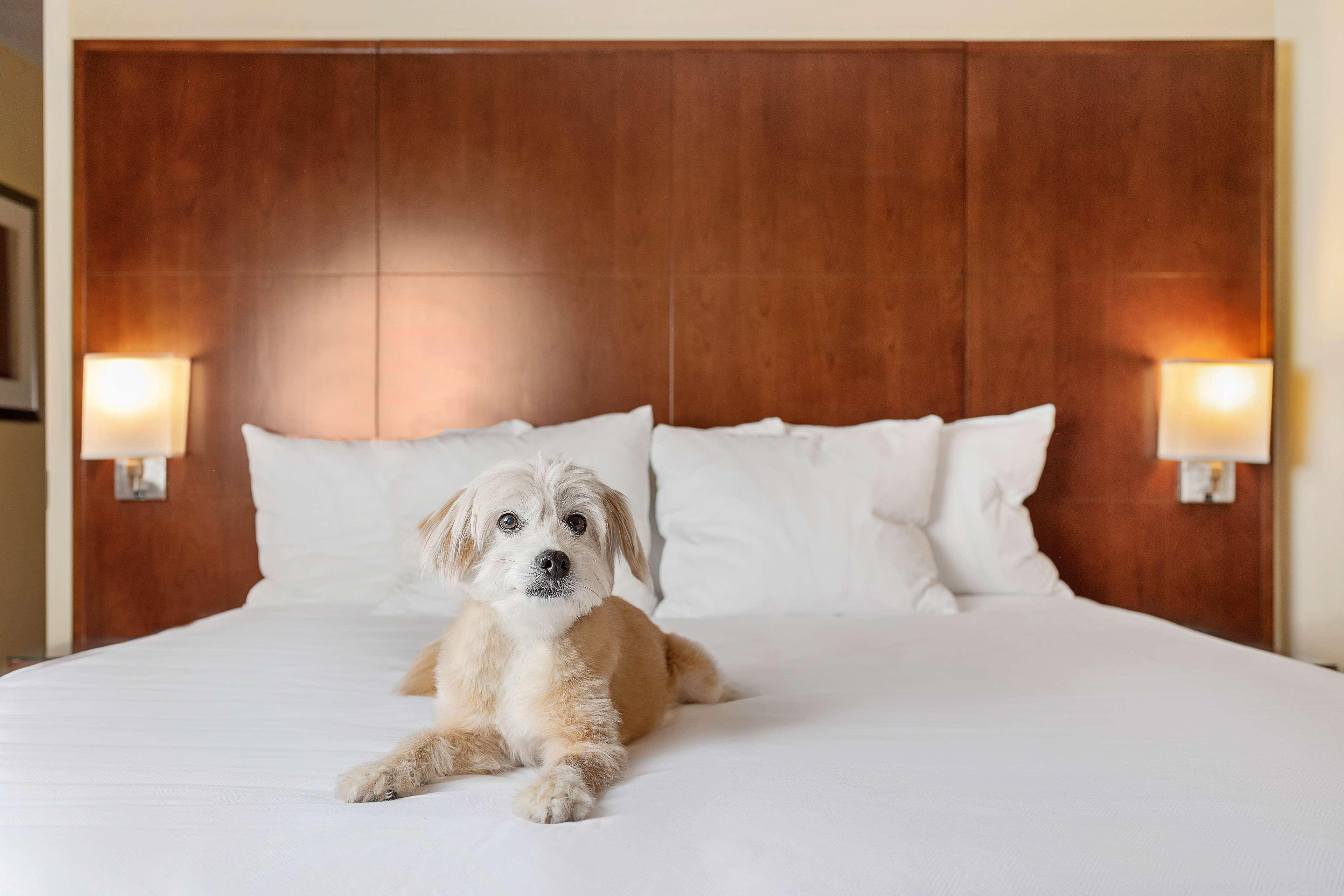 Hyatt Regency Houston Downtown Hotel Kültér fotó